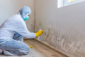 Best Emergency Mold Remediation  in Cherry Valley, IL