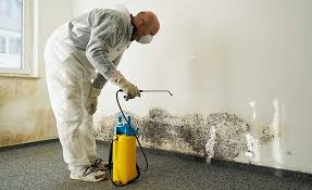 Best Mold Prevention Services  in Cherry Valley, IL